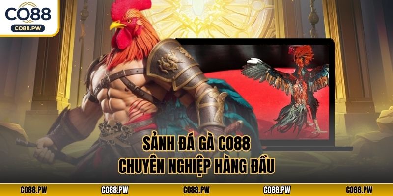 Sảnh đá gà CO88 chuyên nghiệp hàng đầu